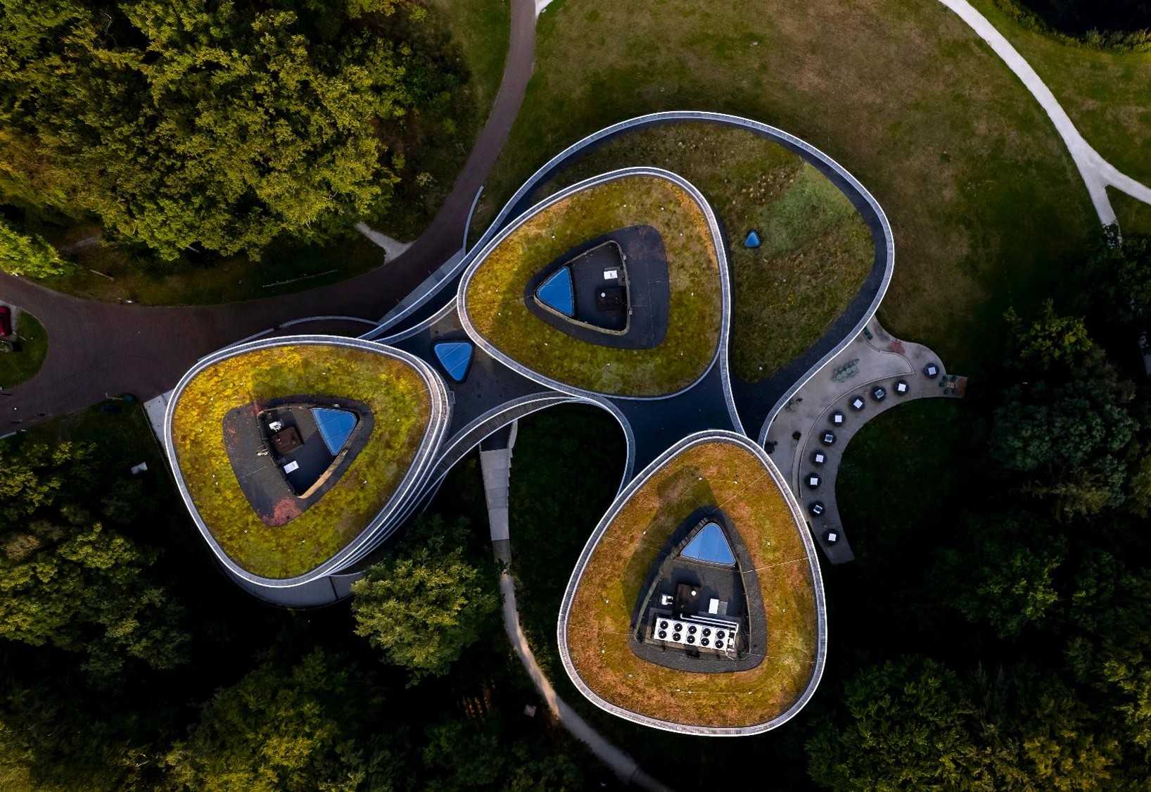 Roof_canopy_swirls_compressed.jpg