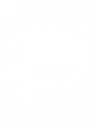 what-we-do.png