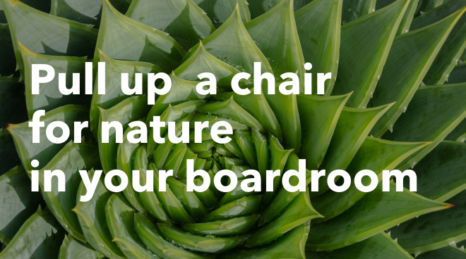 SM_Nature.png