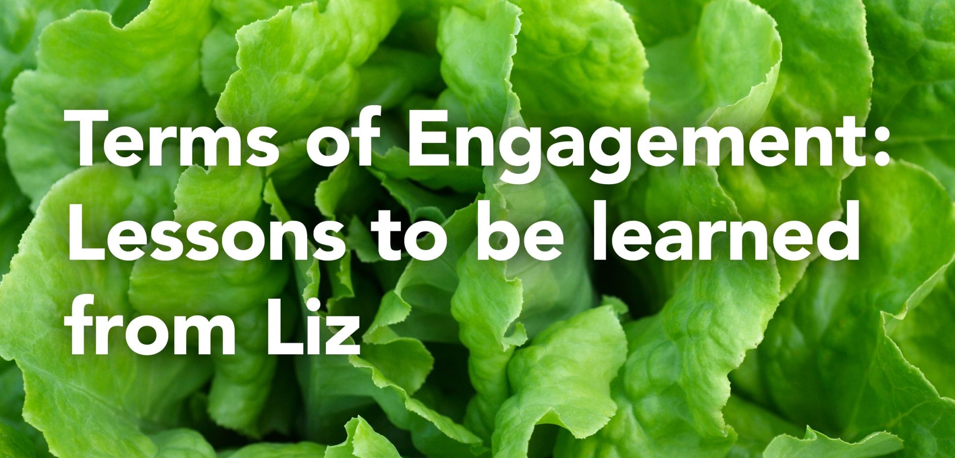 1200x630_sm_terms_of_engagement_social_card-min.jpg