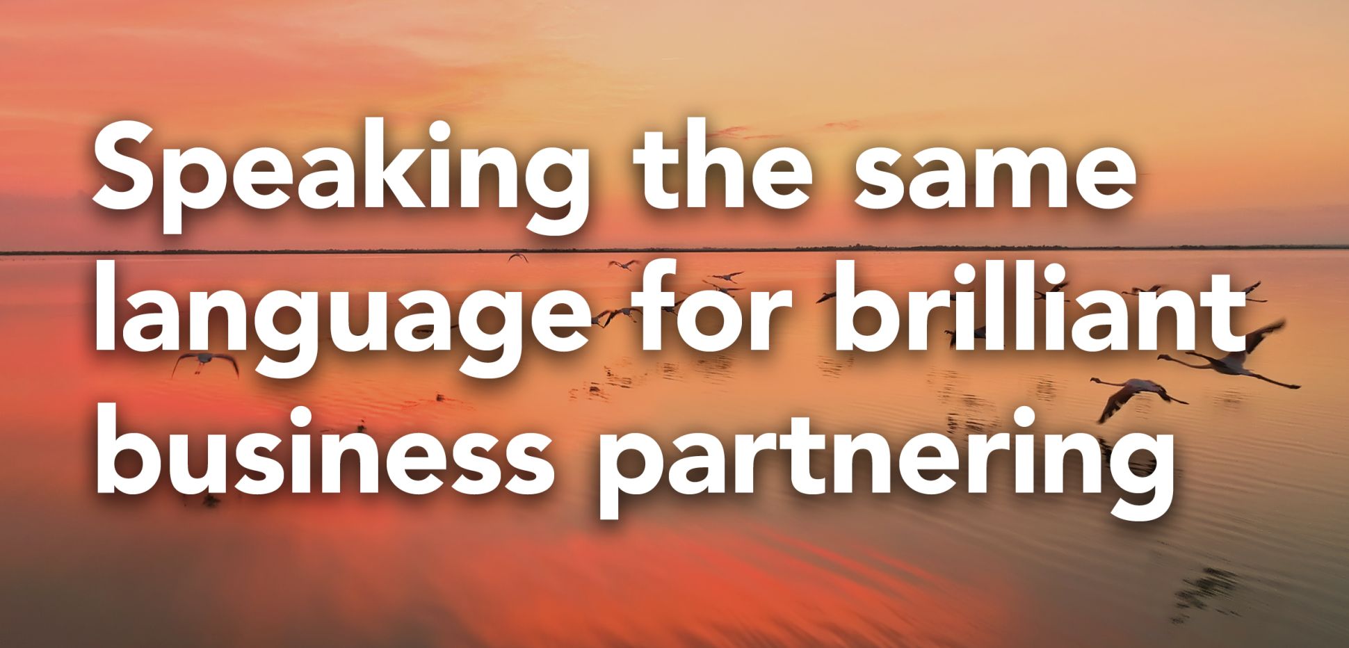 1200x600_sm_website_social_card_010.jpg