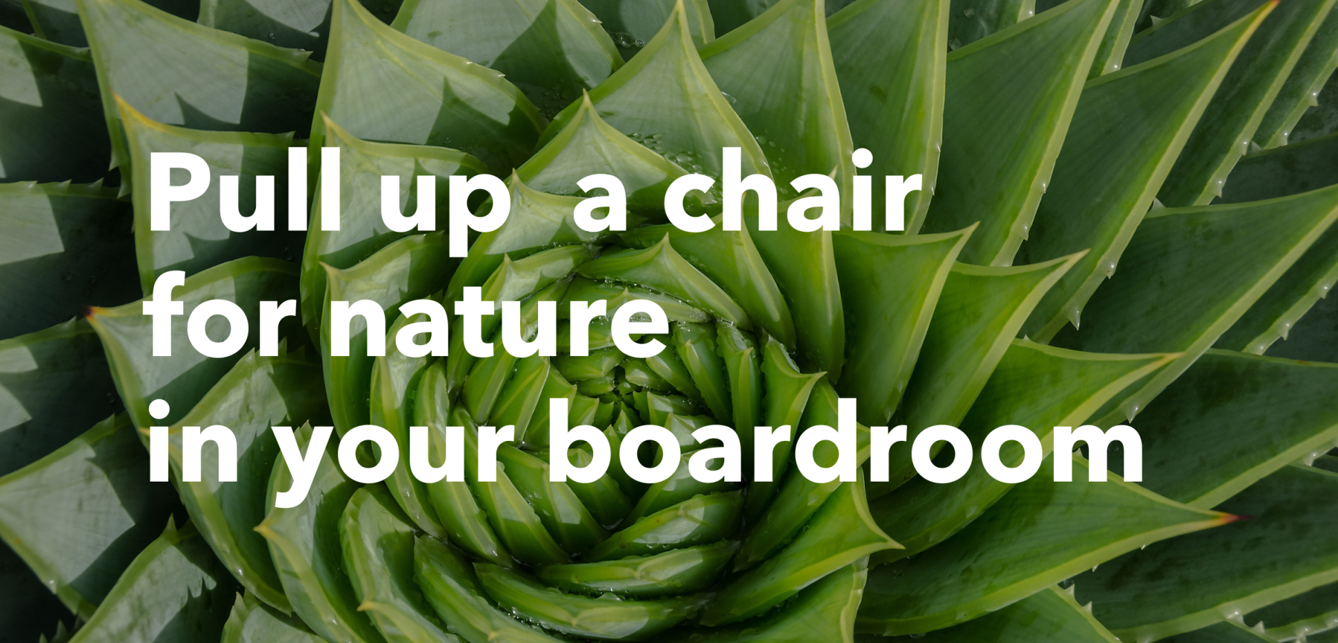 SM_Nature.png