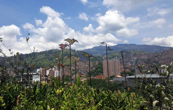 20160928_111950.jpg