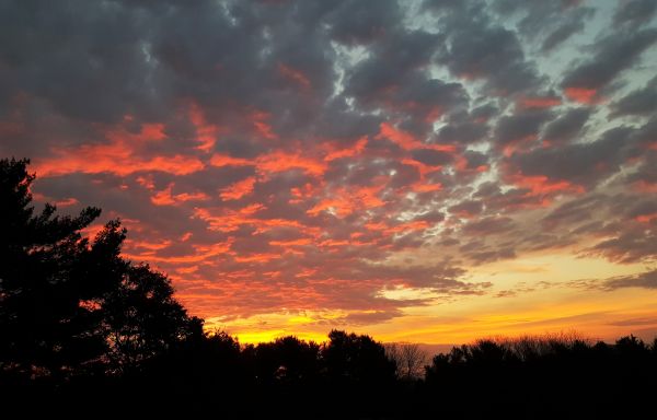 20161103_073157.jpg